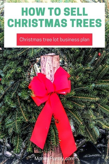 Here's a quick guide on how to sell Christmas trees these holiday season and make money...