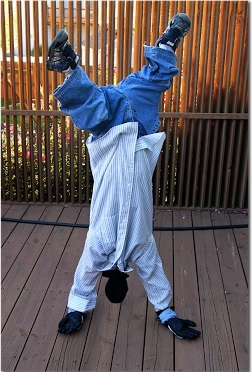 upside-down-man-costume