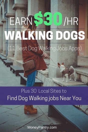 Love dogs? Thee apps (and local websites) make it easy to make money walking dogs (no matter where you live!)