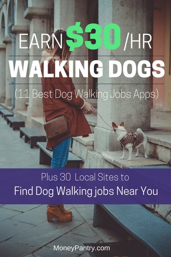 10 Dog Walking Jobs (No Experience Needed)