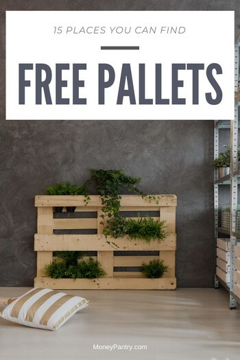 Need pallets for DIY project but don't want to pay? Here's where to find free pallets near you today...