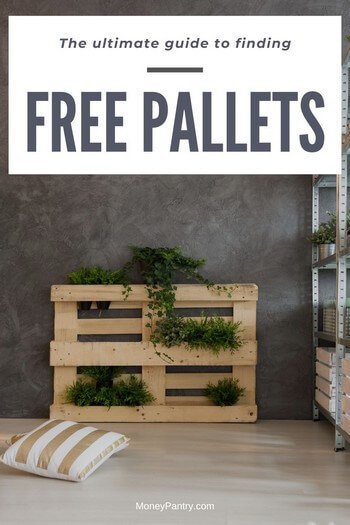 DIY planter box made from free wooden pallets with text overlay the ultimate guide to finding free pallets