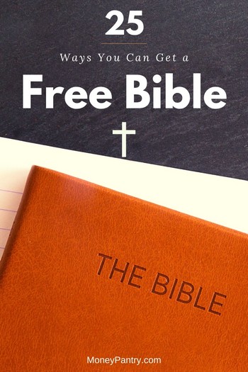 Holy deals bible online