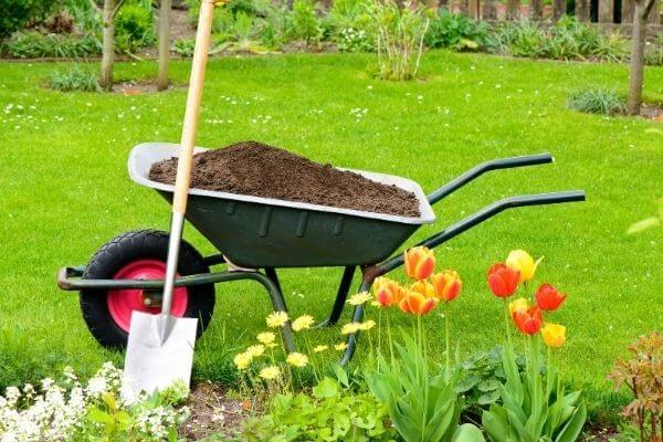15 Places to Get Free Compost Near You!