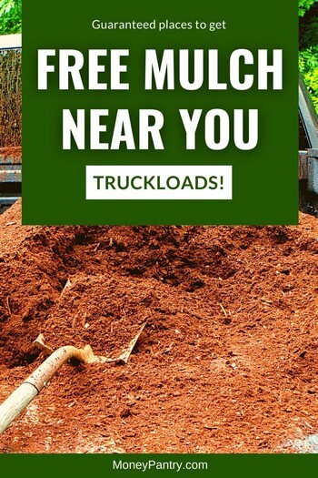 Here are the best ways to get free mulch or woodchips near you today...
