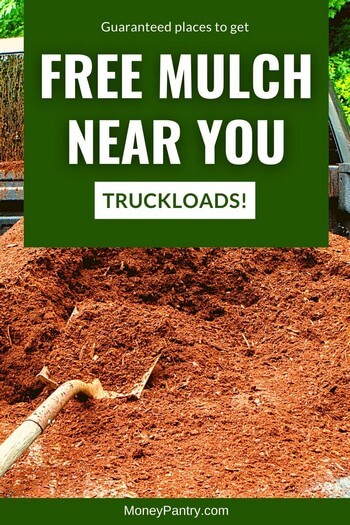 Get free logs and woodchips with ChipDrop - Snohomish Tree Co.