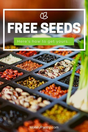 Add and grow your garden by requesting free seeds form these places (including the government!)...