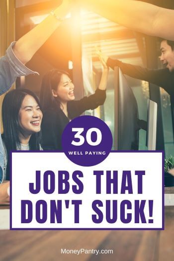 Best satisfying jobs that don't suck and are high paying (you can even work from home and et your own schedule!)...
