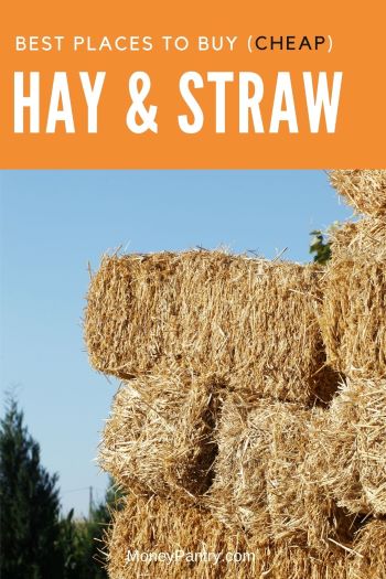 Here are the best places where you can buy hay bales and straw near you (cheap)...