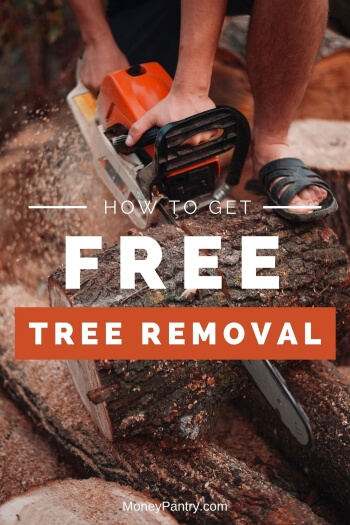 Here's how you can get that dead tree removed for free...
