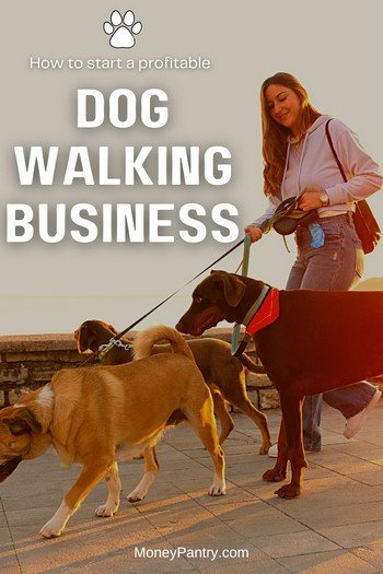 The ultimate guide to starting a profitable dog walking business with no money...