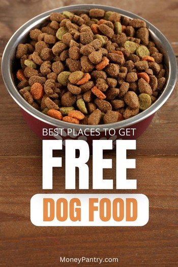 Legitimate ways you can get dog food for free near you...