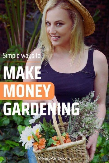 These are the most profitable ways you can earn money from your garden...