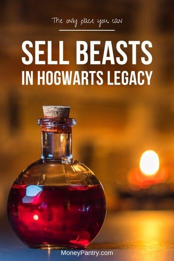 Can you sell beast items in Hogwarts Legacy? Yes you can! And this is the only place you can sell beasts...