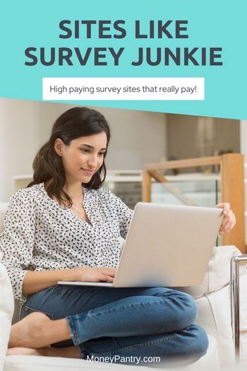 Survey Junkie alternatives that pay you for taking online surveys