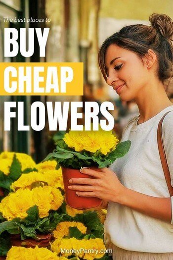 Here are the best places where you can buy cheap flowers for any occasion
