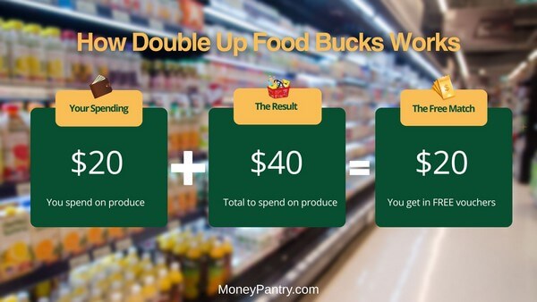 A graphic explaining how the Double Up Food Bucks program works: $20 spent from an EBT card is matched with $20 in free vouchers, giving you a total of $40 to spend on fresh produce.