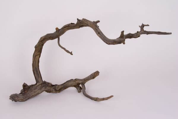 How to Sell Driftwood for Cash: Pricing, Prep & Where to List (2026)