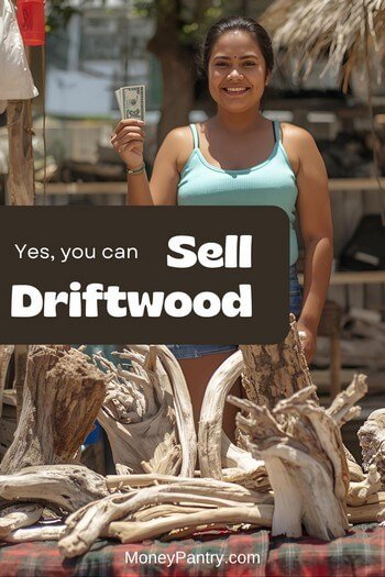A person holding cash after successfully selling a collection of unique driftwood pieces at a local market.