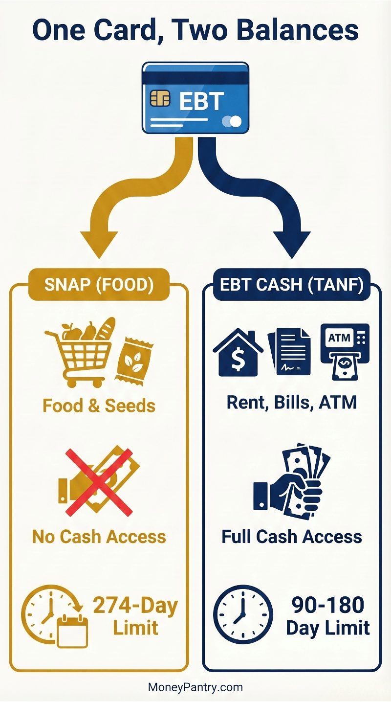 A vertical comparison diagram showing how one EBT card branches into two accounts: SNAP for food (274-day limit) and EBT Cash for rent/ATM (90-180 day limit).