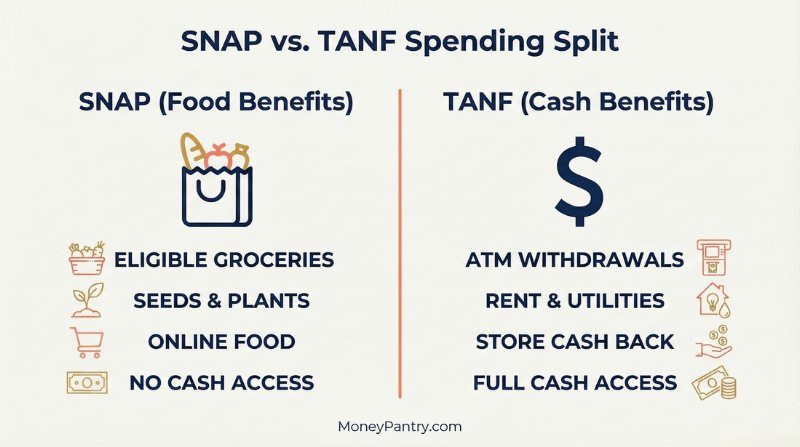 A side-by-side comparison diagram showing that SNAP is for eligible food and seeds only with no cash access, while TANF covers rent, utilities, and ATM withdrawals.